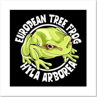 European Tree Frog Posters and Art